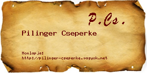 Pilinger Cseperke névjegykártya